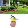 Garden Bird Statue Sculpture Decoration Animal Bird Figurine for Indoor Outdoor Backyard Yard Porch Patio Home Shelf Decor Bird Ornament