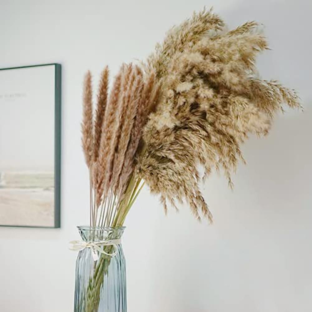 1 пучок сушеных тростниковых цветов, натуральные растения, сушеные пампасные травы, украшения для гостиной, обеденные столы, вечерние украшения для прихожей