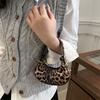 Niche Design Fashionable and Cute Ins Mini Bag Female Foreign Style 2025 New Portable Crescent Bag