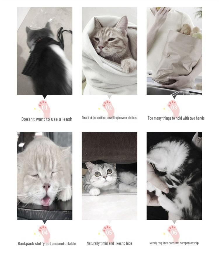 Portable Breathable Pet Carrier: Foldable, Lightweight, Car-Mountable, Large Capacity for Cats and Small Dogs