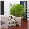 Древний черепной горшок бонсай креативное украшение суккулентные растения цветочный горшок праздничная вечеринка атмосфера украшение микроландшафт