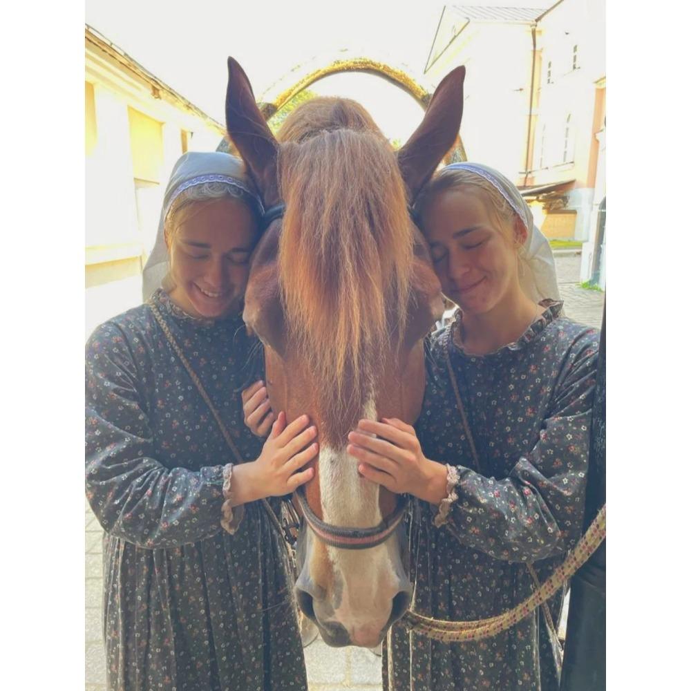 Японское платье с принтом Mori Girl Art, красивое весеннее женское платье из хлопка и льна, новое цветочное платье, свободное платье с длинными рукавами, платье-миди