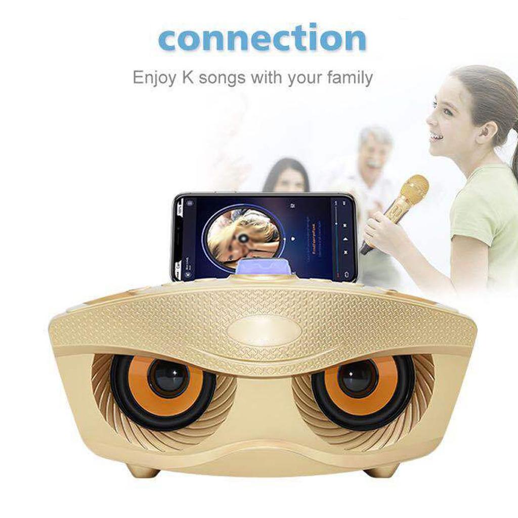 Портативная Bluetooth-колонка с караоке-машиной и 2 беспроводными микрофонами для домашнего использования KTV SD306