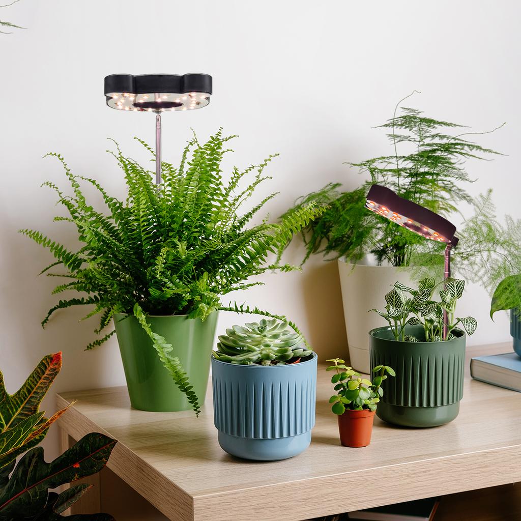 Новейший регулируемый по высоте 16,5-56 см полноспектральный светильник для выращивания растений, идеально подходящий для комнатных растений - питание от USB, таймер включения/выключения 2/4/8 часов