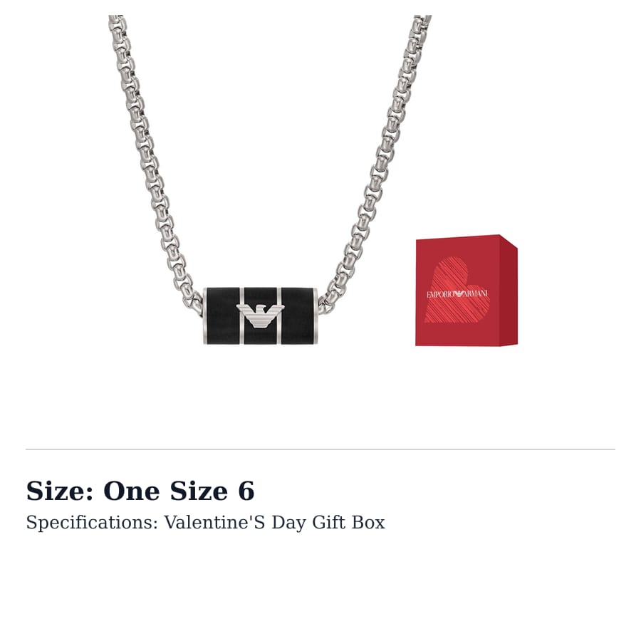 EMPORIO ARMANI Stainless Steel Necklaces Men's Silver EGS2919040