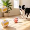 Dog Toy with Sound Ring Made From Flexible Blue 1 Pc