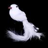 1Pcs Birds Simulation Artificial Feather Doves Feather Park Mall Ornament
