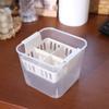 Planter Containers Hydroponics Nursery Pots Clear Tulip Bulb Planter  Indoor Gardening