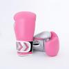 Daxunyi Professional Boxing Gloves Set