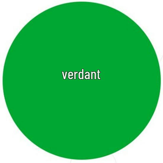 24-Color Super Light Clay 100g DIY Educational Playdough for Kids