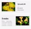 Lycoris Solar Garden Lights - Outdoor Firefly & Sunflower Decor