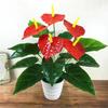 35/50CM Artificial Red Palm Plant Real Touch Fake Plants  Outdoor Indoor Decor