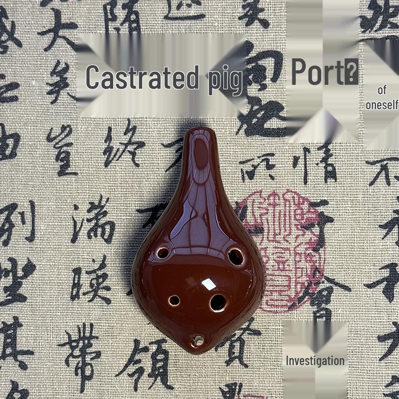 Beginner 6-Hole Alto Ocarina Pendant for Students and Travelers