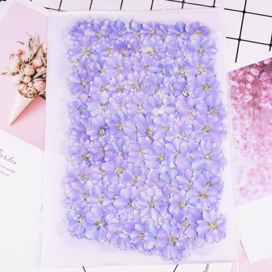 12Pcs Dried Flowers Creation Epoxy Resin DIY Pressed Long-lasting Dried Flowers