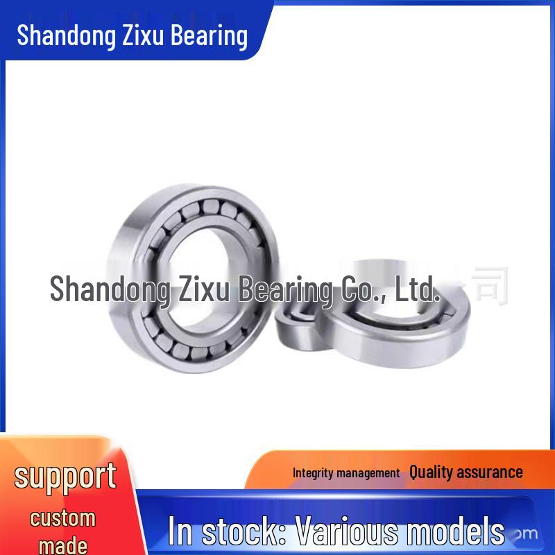 NJ6/56V/C9YA6 Non-standard Cylindrical Roller Bearing - Model 07NU1026-6VHSH2