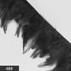 Feather Cloth Strip 10-15Cm Stage Performance Clothing Accessories Rooster Hair Cloth Edge Feather Strip