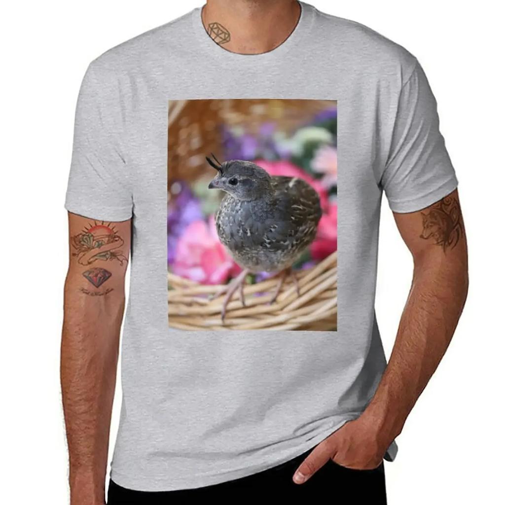 Pezi the Quail, Spring Basket T-Shirt kawaii clothes funnys mens champion t shirts