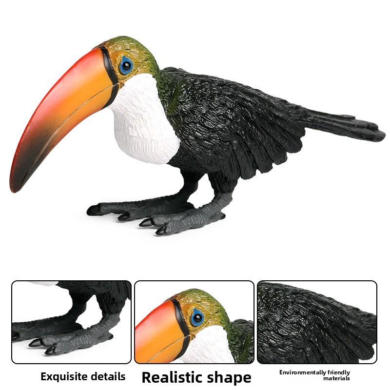 Simulated Wild Animal Big Billed Bird Ramphastos Toco Model Ornament Toys