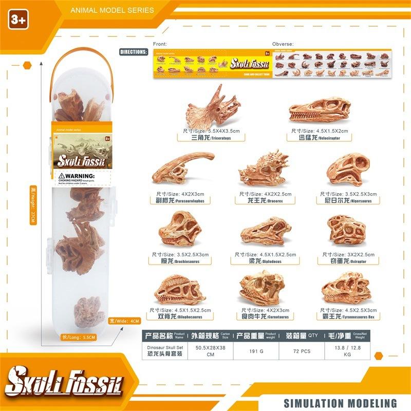 Симуляция Мини Доисторическое Животное Динозавр Модель Черепа Набор Коробка для Хранения Детская Игрушка Декоративное Украшение