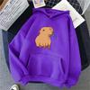 Funny Capybara Kawaii Cartoon Print Women Hoodies Hip Hop Clothes Hooded Sweatshirts Streetwear Men Hoodie Female Hoody Unisex