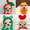 Autumn Winter Carrot Banana Fog Puppy Drawstring Hoodie Pet Warm Clothing