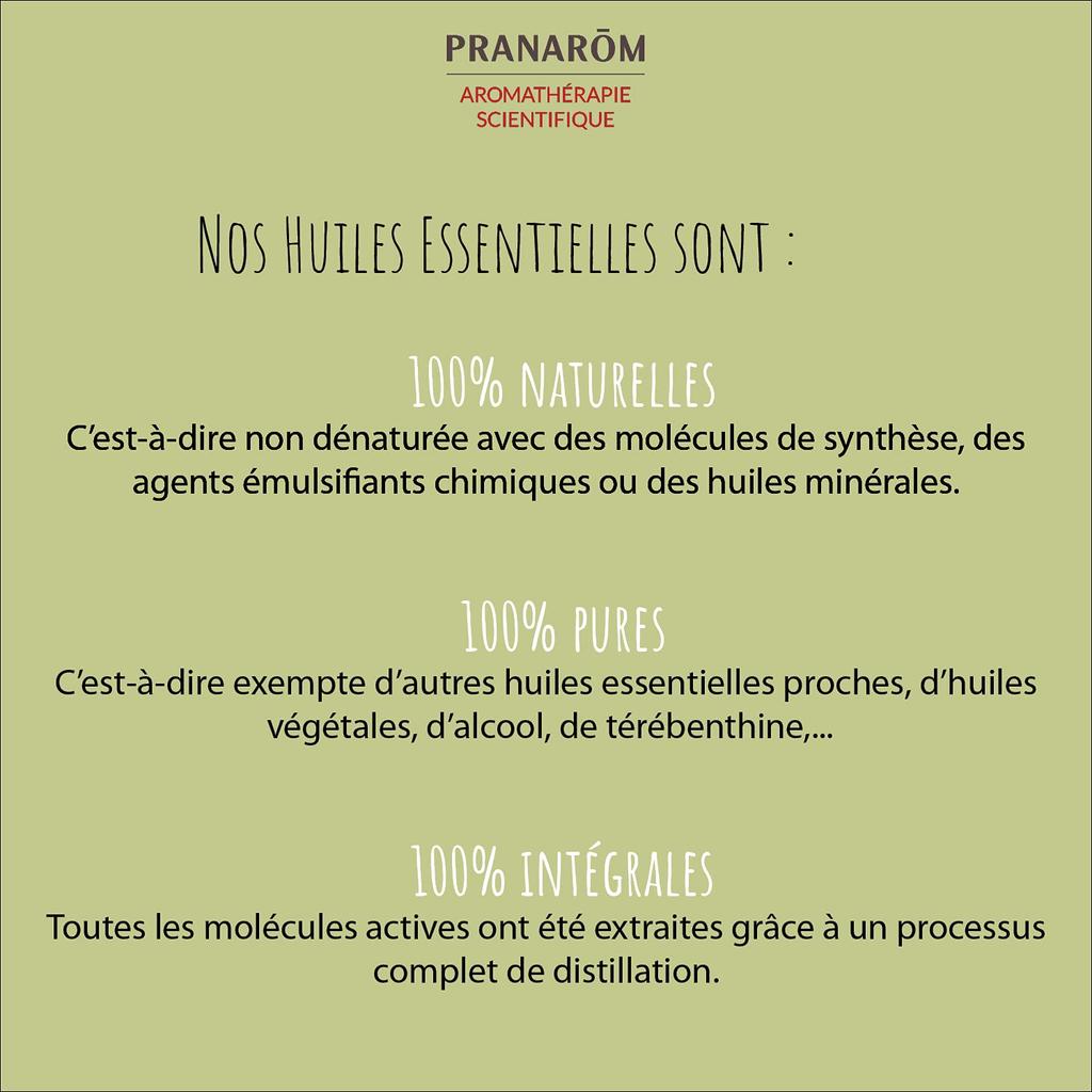 PRANAROM Geranium Rosat Type Bourbone BIO 10ml Chemotype Essential (PRANAROM Oil) [product]