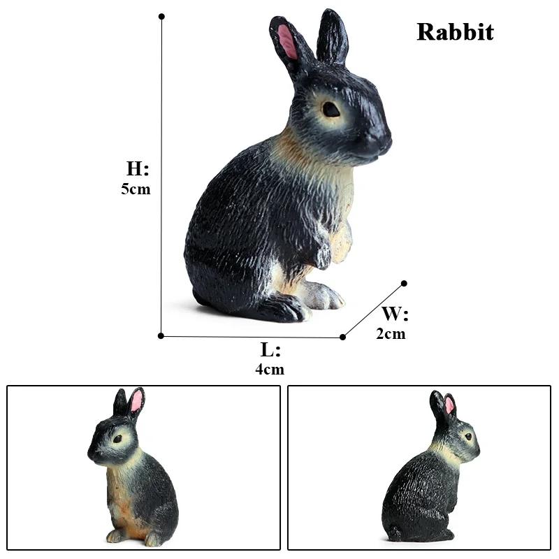 Oenux Lovely Farm Rabbit Bunny Model Action Figure Figurine Wild Desert Cottontail Hare Cute PVC Decoration Education Kid Toy