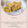 40pcs Dried Craspedia Flowers Dried Billy Button Balls Flowers,dried Flower Bouquet For Arrangement-fast Delivery (best)