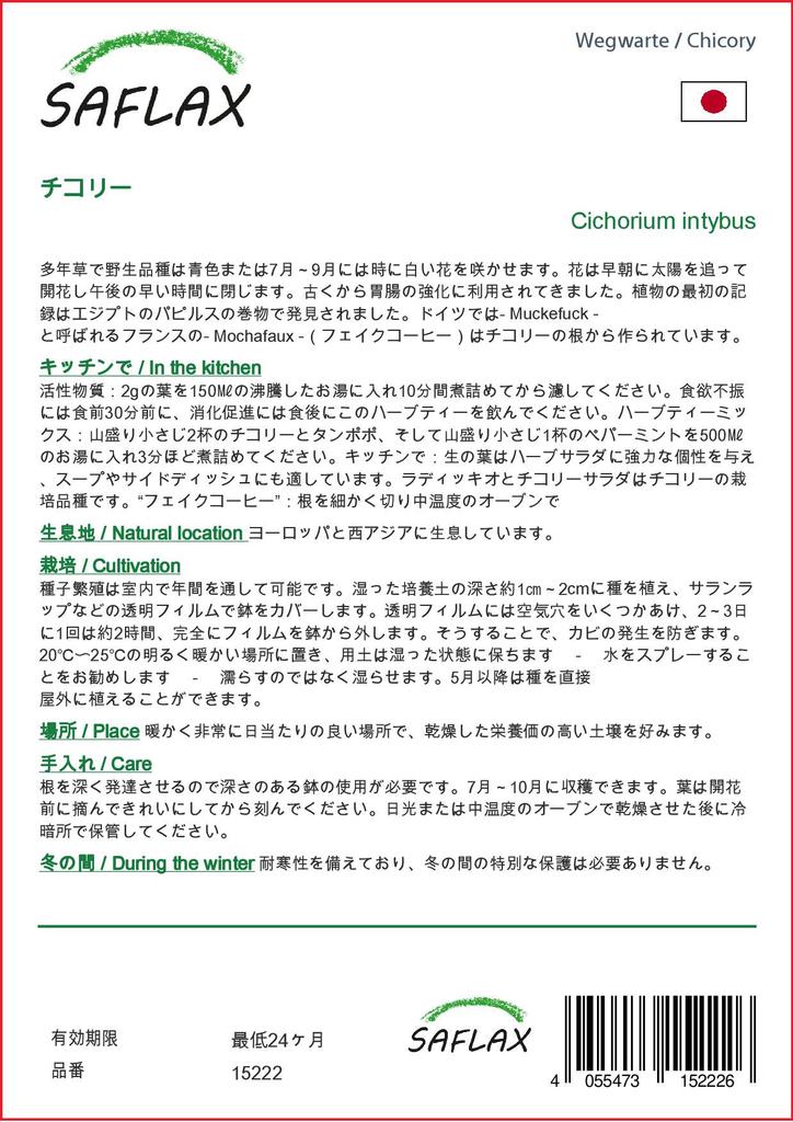 SAFLAX Garden in the Bag - Цикорий - 250 семян - С субстратом в подходящем пакете - Cichorium intybus