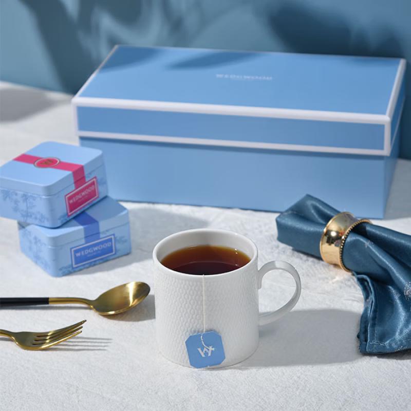 Wedgwood Nordic Geometric Mug & Tea Caddy Gift Set