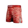 Шорты для ММА и тренировок ANOTHERBOXER