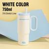 316 Stainless Steel Tumbler Large Capacity Insulated Water Bottle 750mL Vacuum Thermal Coffee Mug Car Cup With Straw Cold Hot Keeping Cup