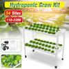 110-220V 54 Holes Hydroponic Piping Site Grow Kit Deep Water Culture Planting Box Gardening System Nursery Pot Hydroponic Rack
