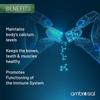 Витамин D3 Ambrosial 1000 МЕ (25 мкг) |Таблетки с витамином D для здоровья костей и зубов | Поддерживает иммунитет и мышечную функцию | Не содержит глютена (Пакет из 1)