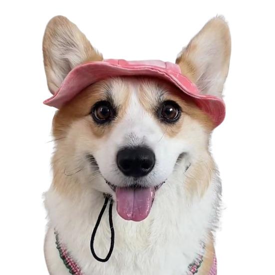 Corgi Sun Hat Pet Cap with Ear Holes Dog Sun Cap with Adjustable Neck Strap for Small And Medium Sized Pets Outdoor Sun Protection