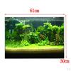 3D универсальный пейзажный постер для аквариума, односторонний фон с рыбой, 61x30 см