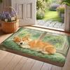 Cute Corgi Cartoon Doormat Non-slip Absorbent Floor Mat Home Bedroom Bathroom