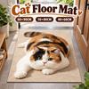 Realistic Bathroom Carpet Diatomaceous Earth Bedroom Door Rug Cute 3D Cat Floor Mat  Home Decor