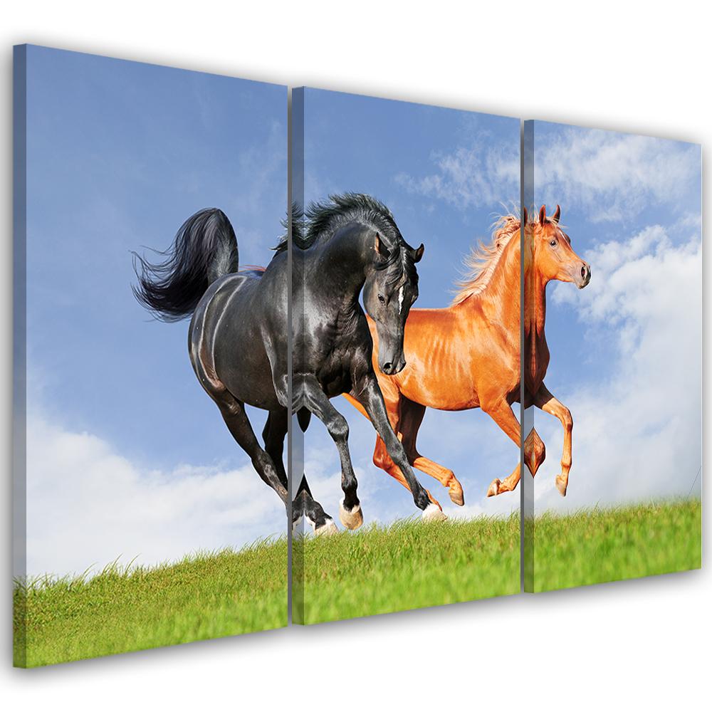 Three Piece Picture Canvas Print Galloping Horses