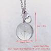 Dandelion Dried Flower Pendant Necklace, Elegant Floral Design Neck Jewelry Creative Birthday Gift For Women