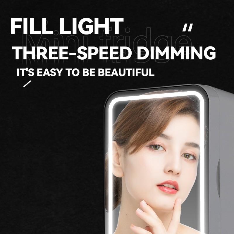 8 л Большая емкость Зеркальный Косметический Холодильник для Автомобиля Домашний Мини-Холодильник Маска для Красоты Уход за Кожей Косметика Мини-Холодильник