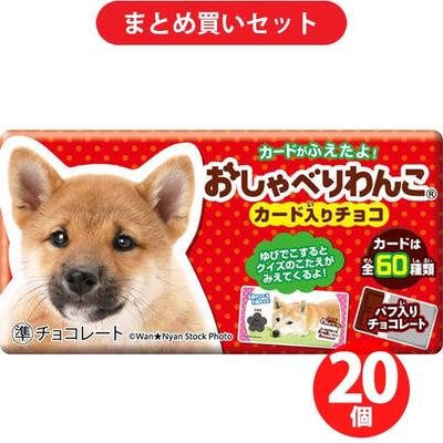 Shoei Delicy Говорящая собачка 1 шт x 20 наборов Шоколад