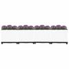 Raised Garden Bed 160 x 40 x 38 cm Polypropylene