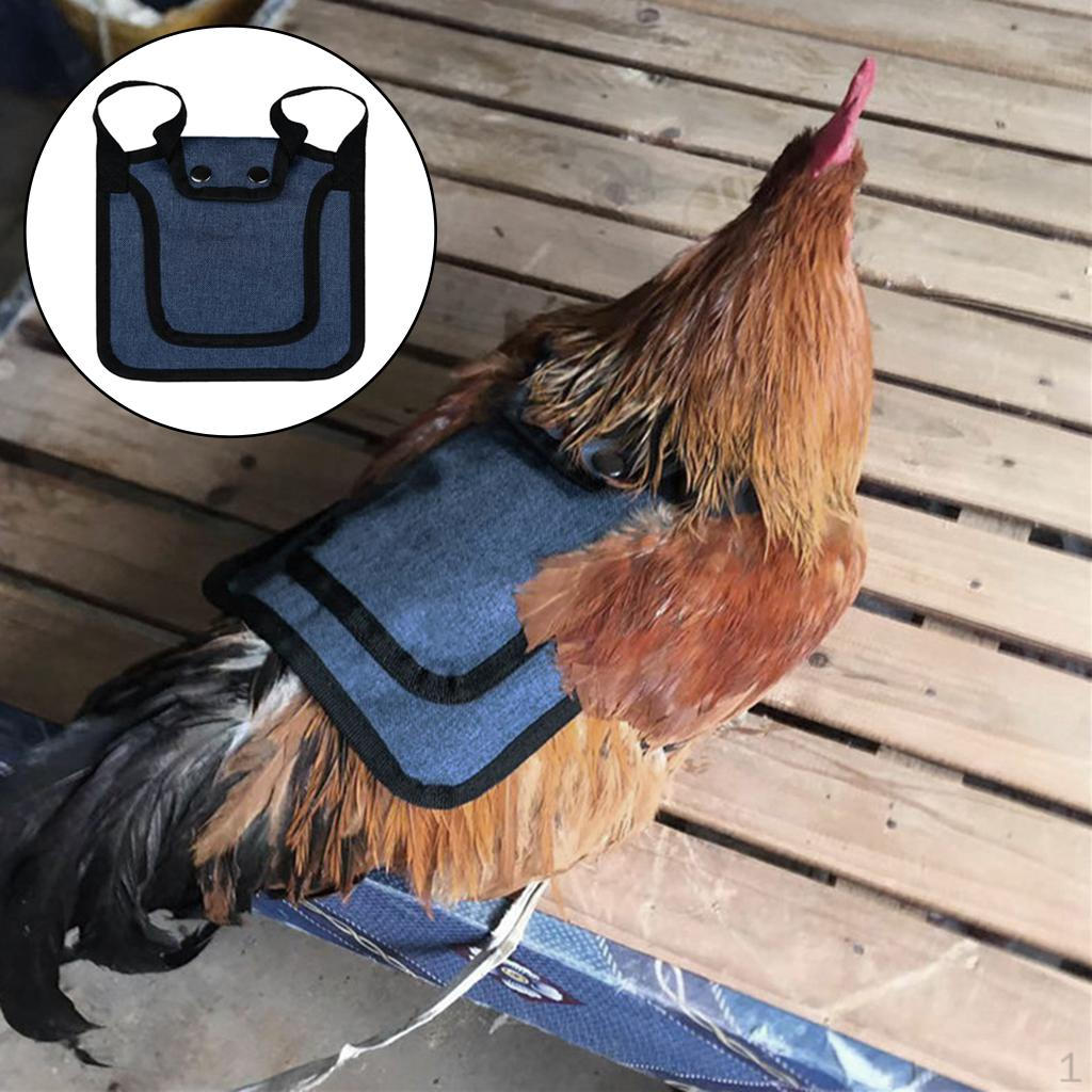 Adjustable Hen Apron for Poultry - Feathered Friend Essential