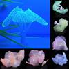 Fluorescent Silicone Aquarium Coral & Sea Urchin Decoration Set