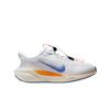 (w) Air Zoom Pegasus Easyon Blueprint