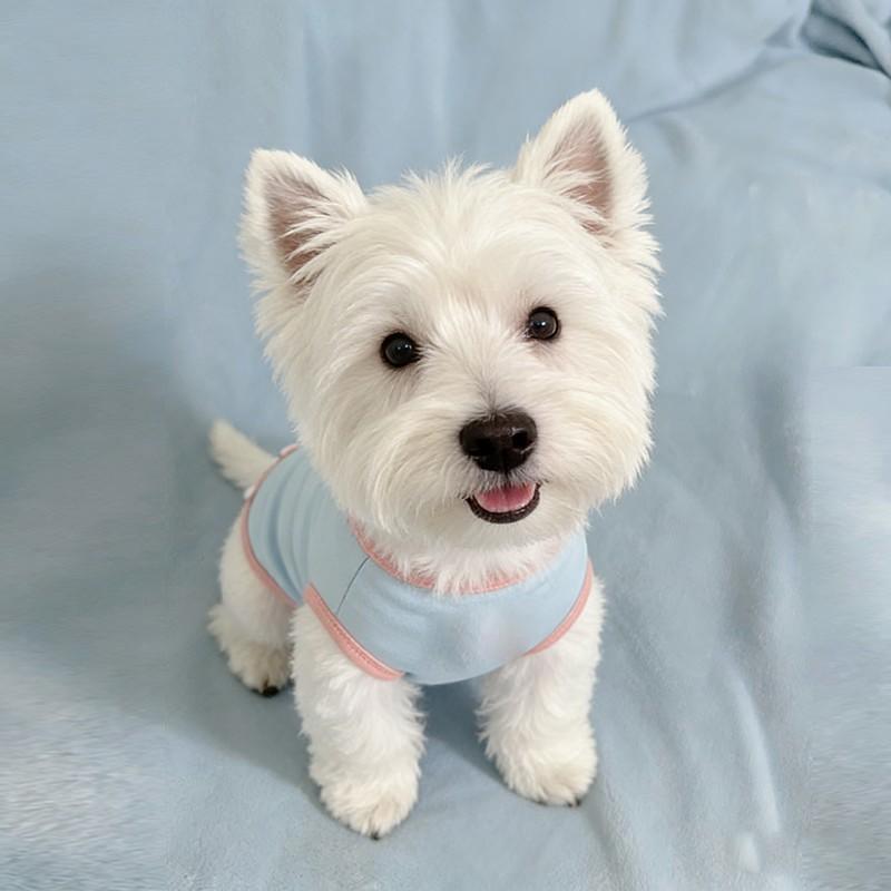 West Highland Home Physiological Pants Spring and Summer New Breathable Air Conditioning Clothing Dog Bag Belly Clothing Small Dog Bichon Dou