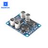 DC PBTL Mono Digital Audio Power Amplifier Board Module 8-24V TPA3118 60W Single Channel Digital Amp Module for Audio DIY