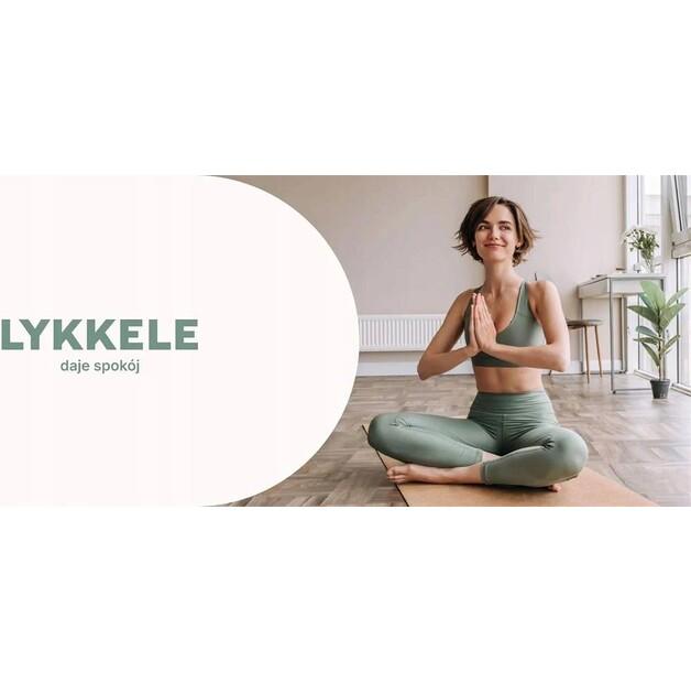 Lykkele Barend Deep Fryer