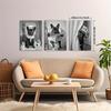 3 Piece Black and White French Bulldog Bathroom Wall Art - Humorous Dog Reading Newspaper Canvas Prints, Great for Home Decor